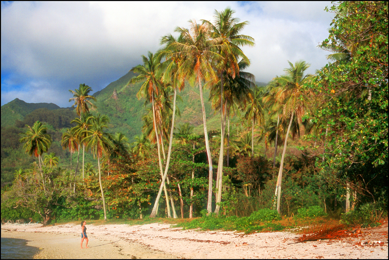 Moorea Photo 14